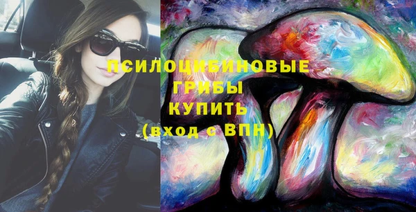 гидра Зеленокумск