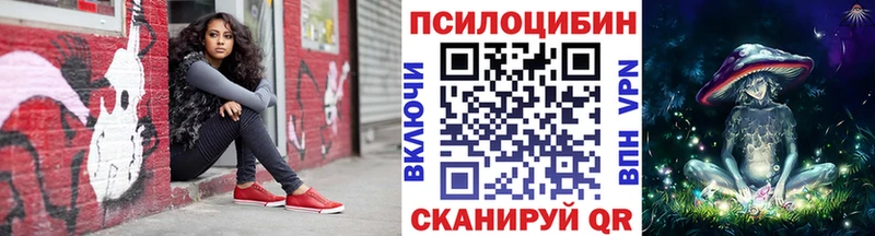 Галлюциногенные грибы Psilocybine cubensis Змеиногорск