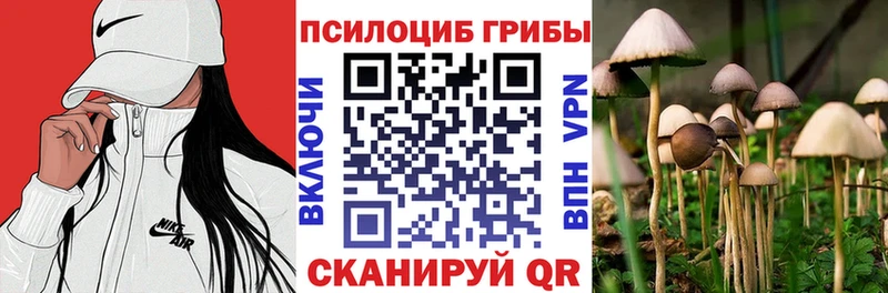 Купить закладки  Змеиногорск  Галлюциногенные грибы прущие грибы 